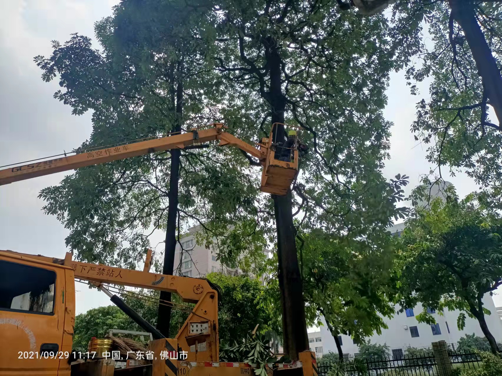 佛山園林綠化工程提升生活品質(zhì)